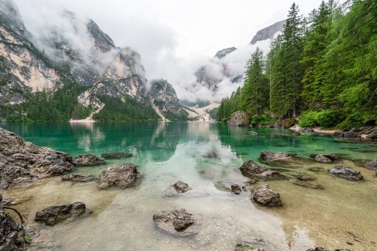 entdecken sie die faszinierende schönheit der natur. von majestätischen landschaften bis hin zu vielfältigen ökosystemen – erleben sie die wunder der erde und lassen sie sich von der vielfalt der flora und fauna begeistern.