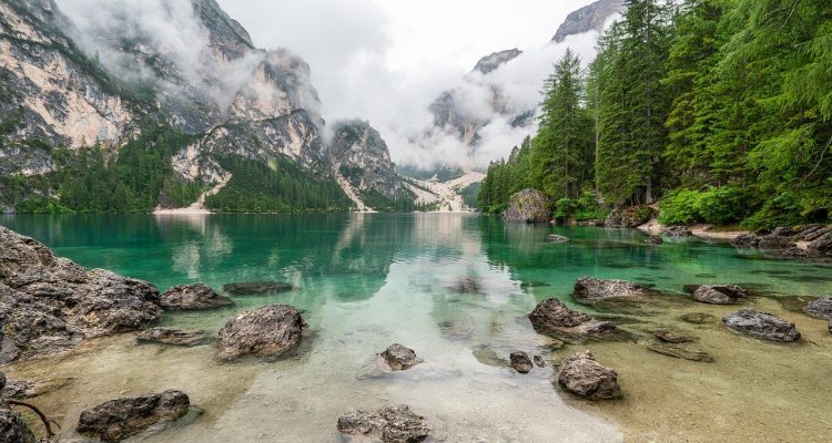 entdecken sie die faszinierende schönheit der natur. von majestätischen landschaften bis hin zu vielfältigen ökosystemen – erleben sie die wunder der erde und lassen sie sich von der vielfalt der flora und fauna begeistern.