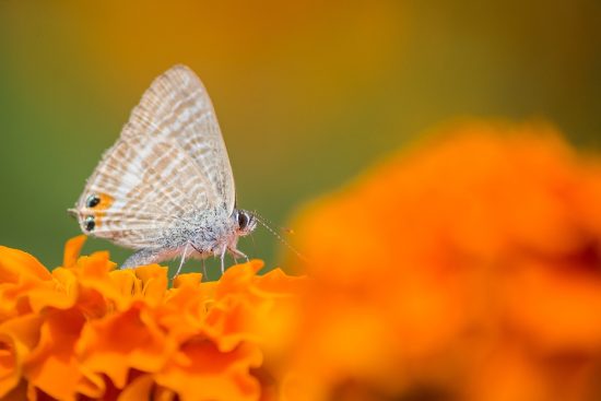entdecken sie einen abenteuerlichen lebensstil voller aufregender erlebnisse, reisen und unvergesslicher momente. tauchen sie ein in die welt des abenteuers und gestalten sie ihr leben aktiv und aufregend.