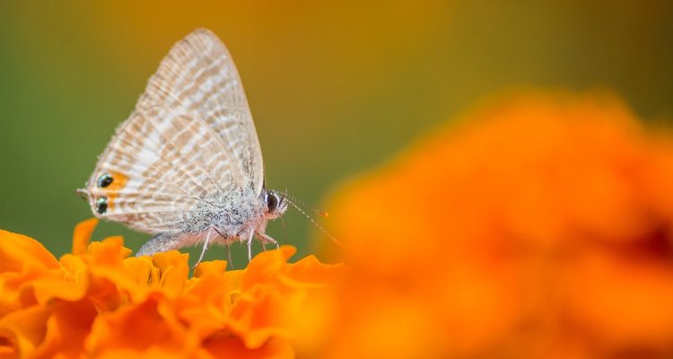 entdecken sie einen abenteuerlichen lebensstil voller aufregender erlebnisse, reisen und unvergesslicher momente. tauchen sie ein in die welt des abenteuers und gestalten sie ihr leben aktiv und aufregend.