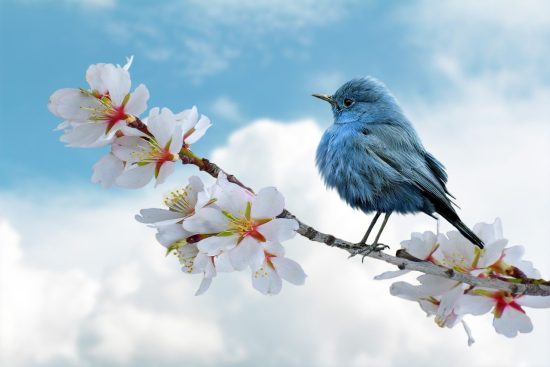 entdecken sie die faszinierende vielfalt der natur: von majestätischen landschaften über beeindruckende tierarten bis hin zu wunderbaren pflanzen. lassen sie sich von der schönheit und der bedeutung der natürlichen welt inspirieren.