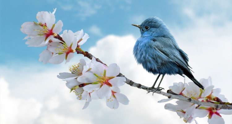 entdecken sie die faszinierende vielfalt der natur: von majestätischen landschaften über beeindruckende tierarten bis hin zu wunderbaren pflanzen. lassen sie sich von der schönheit und der bedeutung der natürlichen welt inspirieren.