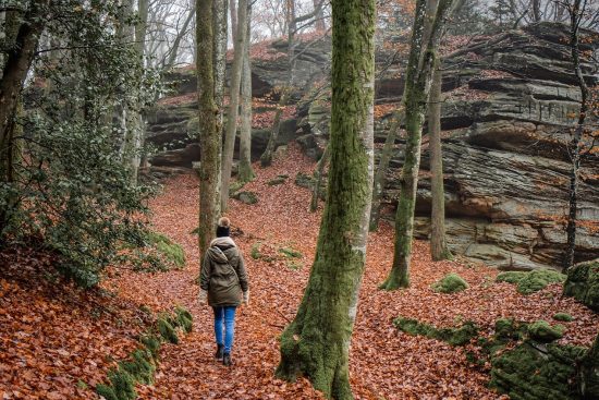 entdecken sie atemberaubende wanderwege inmitten unberührter natur. unsere umfassenden informationen zu wanderstrecken helfen ihnen, die besten routen für ihr nächstes abenteuer zu finden. genießen sie die freiheit der natur und erleben sie unvergessliche momente beim wandern.