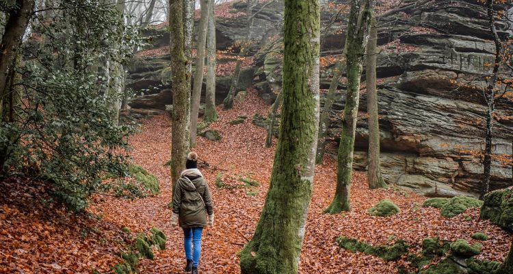 entdecken sie atemberaubende wanderwege inmitten unberührter natur. unsere umfassenden informationen zu wanderstrecken helfen ihnen, die besten routen für ihr nächstes abenteuer zu finden. genießen sie die freiheit der natur und erleben sie unvergessliche momente beim wandern.