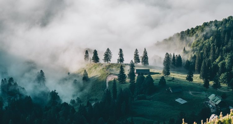 entdecken sie die welt des reisens mit unseren exklusiven tipps, inspirierenden zielen und hilfreichen ratschlägen für unvergessliche abenteuer. planen sie ihre nächste reise mit leichtigkeit und freude.