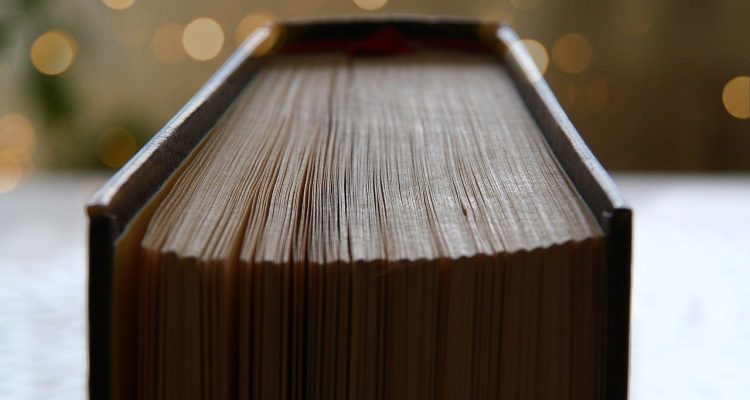 entdecken sie faszinierende reisegeschichten, die sie inspirieren und ihnen die schönheit der welt näherbringen. von abenteuerlichen entdeckungsreisen bis hin zu kulturellen erlebnissen – lassen sie sich von unseren erzählungen mitreißen.
