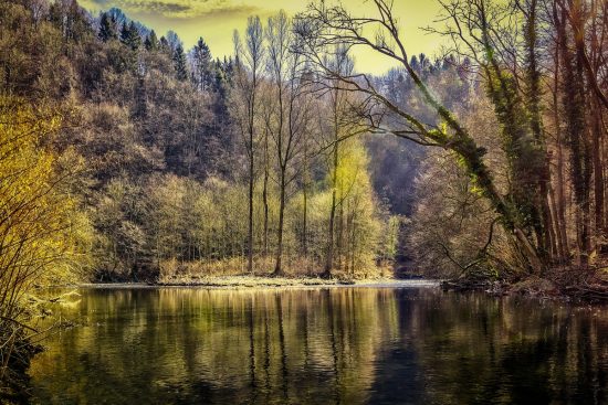 entdecken sie die kunst der entspannung mit unseren effektiven techniken und tipps. lassen sie den stress hinter sich und finden sie innere ruhe und gelassenheit.