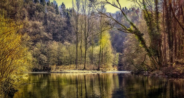entdecken sie die kunst der entspannung mit unseren effektiven techniken und tipps. lassen sie den stress hinter sich und finden sie innere ruhe und gelassenheit.
