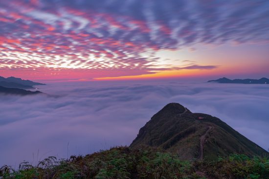 entdecken sie aufregende reiseabenteuer rund um die welt! von atemberaubenden landschaften bis hin zu spannenden kulturen – lassen sie sich inspirieren und planen sie ihr nächstes unvergessliches abenteuer.