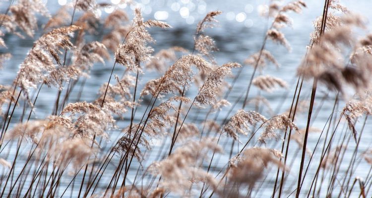 entdecken sie die besten outdoor-aktivitäten und -ausrüstungen für ihre abenteuer in der natur. von wandern bis camping, finden sie inspirierende tipps und produkte, die ihren aufenthalt im freien unvergesslich machen.