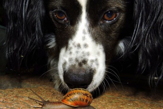 erlebe unvergessliche tierbegegnungen in der natur! entdecke die faszinierende tierwelt hautnah und erhalte spannende einblicke in das verhalten von wildtieren. perfekt für naturfreunde und abenteurer!