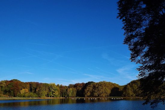 entdecken sie die besten kurzurlaube und ausflugsziele für einen perfekten tapetenwechsel. lassen sie den alltag hinter sich und genießen sie unvergessliche erfahrungen bei ihren nächsten getaways!