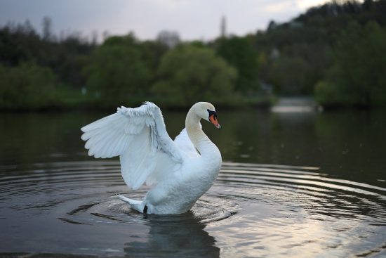 entdecken sie die welt des reisens! erleben sie aufregende abenteuer, kulturelle entdeckungen und unvergessliche erlebnisse, die ihr herz höher schlagen lassen. planen sie ihre nächste reise mit uns!