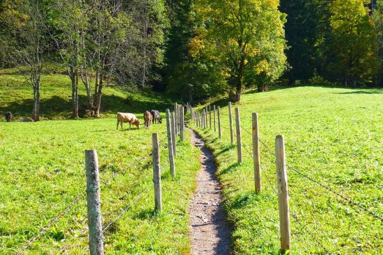 entdecken sie versteckte perlen und unentdeckte reiseziele abseits der ausgetretenen pfade. lassen sie sich von einzigartigen erfahrungen und unvergesslichen abenteuern inspirieren.