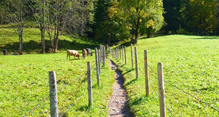 entdecken sie versteckte perlen und unentdeckte reiseziele abseits der ausgetretenen pfade. lassen sie sich von einzigartigen erfahrungen und unvergesslichen abenteuern inspirieren.