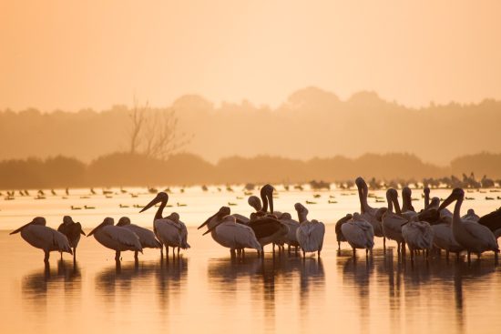 entdecken sie die faszinierende welt der reisephotographie. lassen sie sich von atemberaubenden landschaften, kulturellen highlights und unvergesslichen momenten inspirieren, während sie die schönheit der erde durch die linse ihrer kamera festhalten.