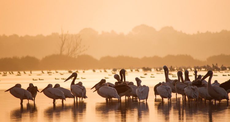 entdecken sie die faszinierende welt der reisephotographie. lassen sie sich von atemberaubenden landschaften, kulturellen highlights und unvergesslichen momenten inspirieren, während sie die schönheit der erde durch die linse ihrer kamera festhalten.