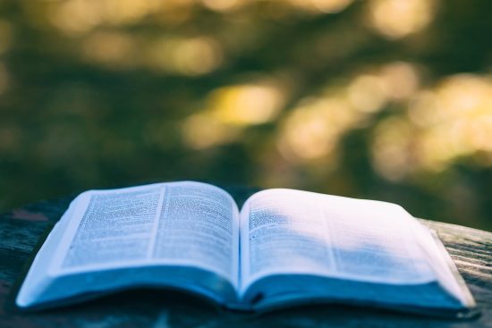 entdecken sie die faszinierende welt der reiseführer! unsere sorgfältig ausgewählten reisebücher bieten inspirierende ziele, nützliche tipps und fesselnde geschichten, um ihre nächsten abenteuer zu planen und zu genießen.