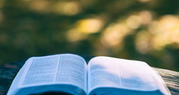 entdecken sie die faszinierende welt der reiseführer! unsere sorgfältig ausgewählten reisebücher bieten inspirierende ziele, nützliche tipps und fesselnde geschichten, um ihre nächsten abenteuer zu planen und zu genießen.