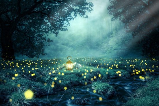 entdecken sie die faszinierende welt der natur: atemberaubende landschaften, vielfältige flora und fauna, sowie nachhaltige tipps für den umweltschutz. erleben sie die schönheit und vielfalt der erde!