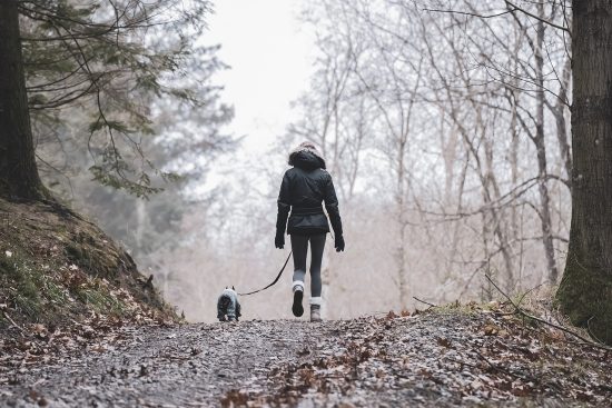 entdecken sie aufregende reiseaktivitäten, die unvergessliche erlebnisse schaffen. von abenteuern in der natur bis hin zu kulturellen entdeckungen – finden sie die perfekten aktivitäten für ihre nächste reise.
