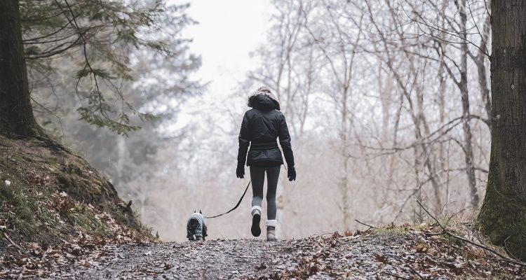 entdecken sie faszinierende naturaktivitäten für alle altersgruppen! von wanderungen über vogelbeobachtungen bis hin zu aufregenden outdoor-abenteuern - erleben sie die schönheit der natur hautnah!