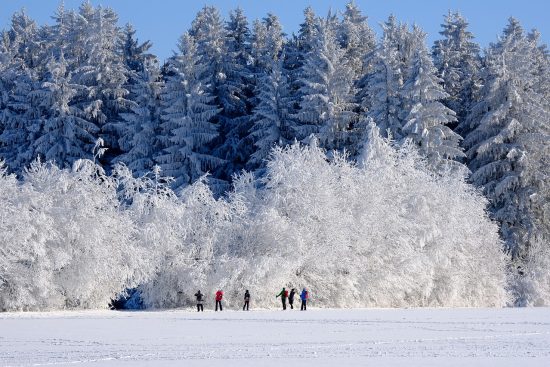 erleben sie die traumhaften winterlandschaften, die mit schneebedeckten bäumen, glitzernden schneefeldern und malerischen bergen verzaubern. entdecken sie die schönheit und ruhe der natur im winter.