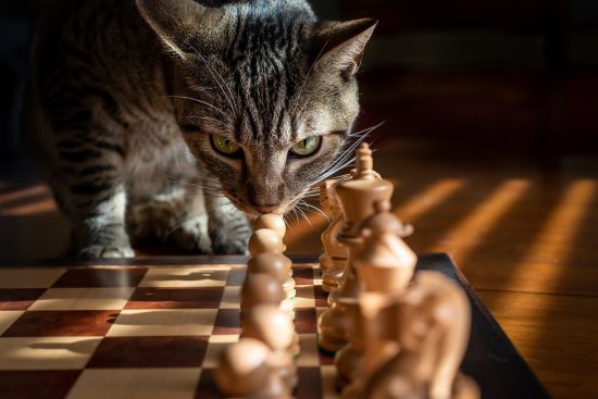 entdecken sie innovative reise-strategien, um ihre reiseerlebnisse zu optimieren. erfahren sie, wie sie effektiv planen, kosten sparen und unvergessliche abenteuer erleben können.