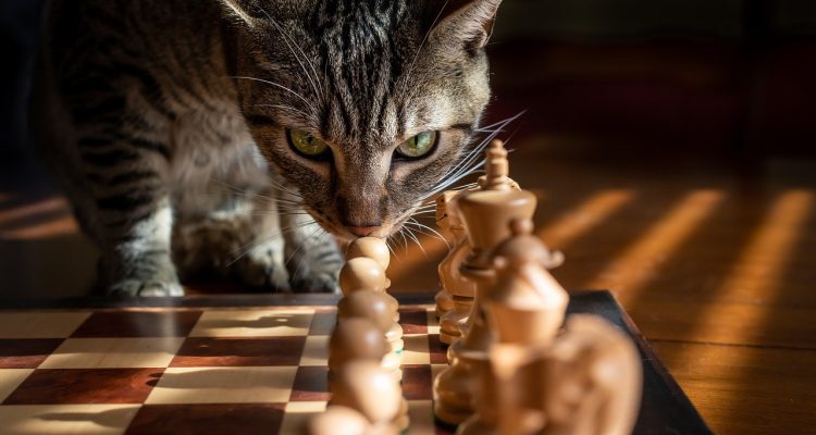 entdecken sie innovative reise-strategien, um ihre reiseerlebnisse zu optimieren. erfahren sie, wie sie effektiv planen, kosten sparen und unvergessliche abenteuer erleben können.