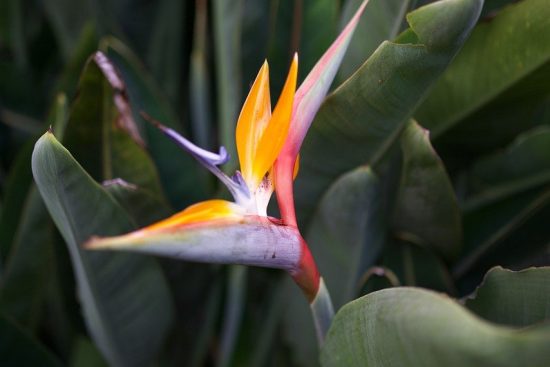 entdecken sie die versteckten paradiese der welt, wo unberührte natur und atemberaubende landschaften auf sie warten. lassen sie sich von geheimen orten und einzigartigen erlebnissen verzaubern.