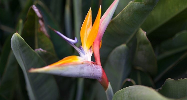 entdecken sie die versteckten paradiese der welt, wo unberührte natur und atemberaubende landschaften auf sie warten. lassen sie sich von geheimen orten und einzigartigen erlebnissen verzaubern.