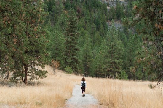erleben sie die schönheit der natur beim wandern! entdecken sie malerische trails, atemberaubende landschaften und unvergessliche abenteuer in den bergen. perfekt für anfänger und erfahrene wanderer!