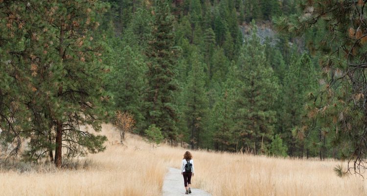 erleben sie die schönheit der natur beim wandern! entdecken sie malerische trails, atemberaubende landschaften und unvergessliche abenteuer in den bergen. perfekt für anfänger und erfahrene wanderer!