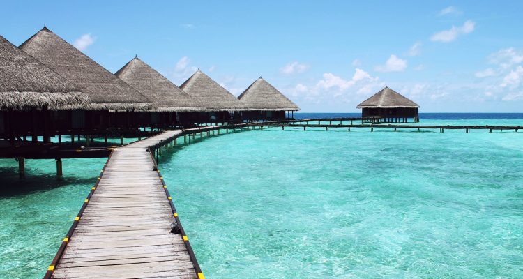 entdecken sie unsere besten tipps für einen unvergesslichen urlaub in der natur! von malerischen wanderwegen bis hin zu versteckten naturparadiesen – lassen sie sich inspirieren und genießen sie die schönheit der natur in vollen zügen.