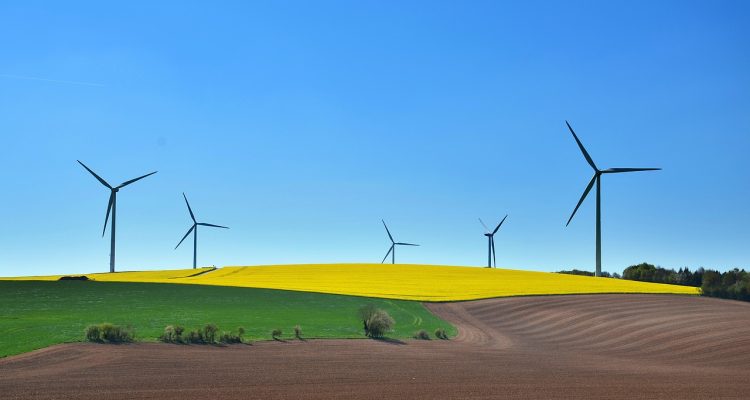 entdecken sie nachhaltiges reisen: tipps für umweltfreundliche urlaubspläne, umweltbewusste unterkünfte und nachhaltige transportmöglichkeiten, die ihren ökologischen fußabdruck minimieren.