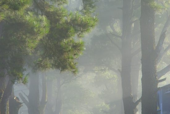 entdecken sie die besten reiseziele, tipps und trends für ihre nächste abenteuerreise. erleben sie unvergessliche momente und reisen sie mit leichtigkeit und freude.