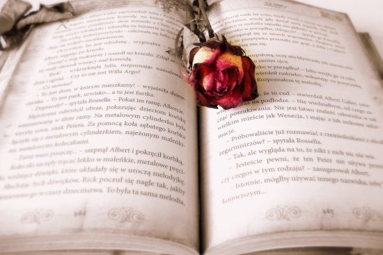 entdecken sie die besten reiseführer, die ihnen helfen, neue länder und kulturen zu erkunden. unsere auswahl an reisebüchern bietet inspirierende geschichten, praktische tipps und lagerfeuerabenteuer für jeden entdecker.