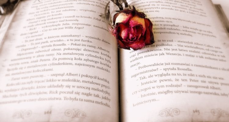 entdecken sie die besten reiseführer, die ihnen helfen, neue länder und kulturen zu erkunden. unsere auswahl an reisebüchern bietet inspirierende geschichten, praktische tipps und lagerfeuerabenteuer für jeden entdecker.