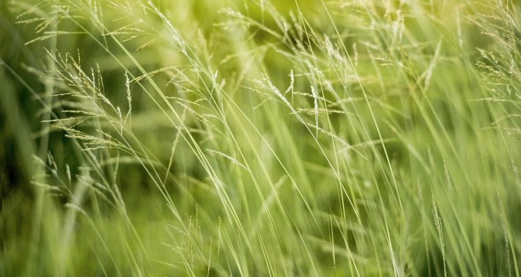 entdecken sie die welt des ökotourismus! erleben sie nachhaltige reisen und genießen sie unberührte natur, lokale kulturen und umweltfreundliche aktivitäten, die sowohl abenteuer als auch den schutz unserer planet bieten.