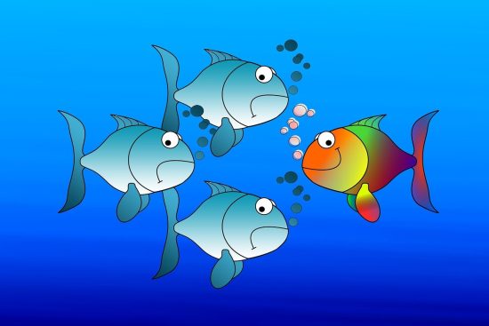 entdecken sie die freiheit des individuellen reisens! gestalten sie ihre traumreise nach ihren wünschen und erleben sie unvergessliche abenteuer, fernab der massen. planen sie jetzt ihren persönlichen urlaub!