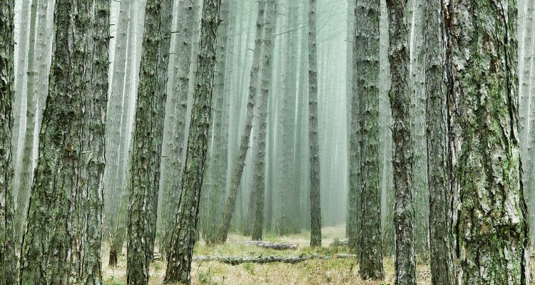 entdecken sie die faszinierende welt des abenteuerreisens! erleben sie unvergessliche aktivitäten in beeindruckenden landschaften und tauchen sie ein in die kultur der einzigartigen destinationen. bereiten sie sich auf das abenteuer ihres lebens vor!