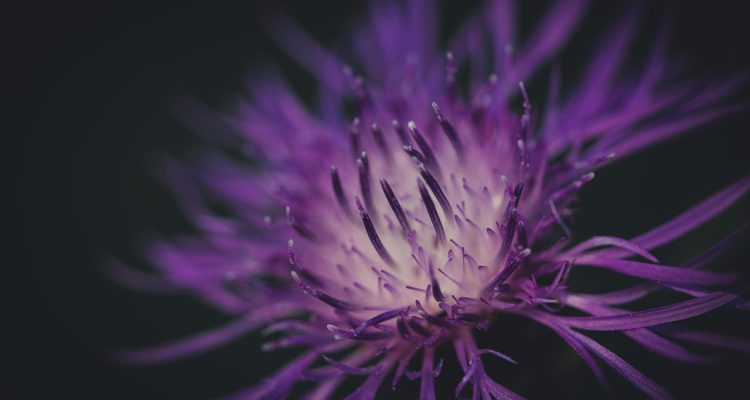 entdecken sie die faszinierende schönheit der natur. erleben sie atemberaubende landschaften, vielfältige flora und fauna sowie unvergessliche abenteuer in freier wildbahn.