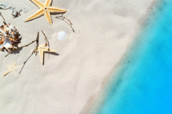entdecken sie exotische reisetipps für unvergessliche abenteuer! lassen sie sich von unseren empfehlungen für außergewöhnliche ziele und kulturelle erlebnisse inspirieren.