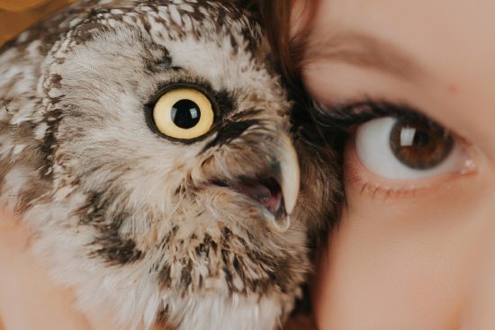 finden sie den perfekten reisebegleiter für unvergessliche abenteuer. entdecken sie tipps, erfahrungen und ratschläge für eine unvergessliche reise mit ihrem idealen reisepartner.