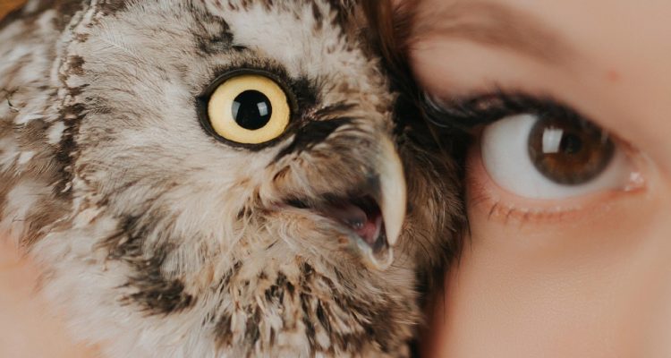 finden sie den perfekten reisebegleiter für unvergessliche abenteuer. entdecken sie tipps, erfahrungen und ratschläge für eine unvergessliche reise mit ihrem idealen reisepartner.