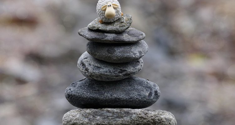 unvergessliche tiererlebnisse: entdecken sie faszinierende begegnungen mit tieren, die ihr herz berühren und unvergessliche erinnerungen schaffen. erleben sie die natur hautnah!