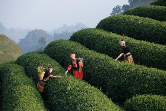 entdecken sie faszinierende kulturelle erfahrungen, die ihre sinne ansprechen und ihnen einen einzigartigen einblick in verschiedene traditionen und bräuche bieten. tauchen sie ein in die reiche vielfalt der kulturen und erleben sie unvergessliche abenteuer.