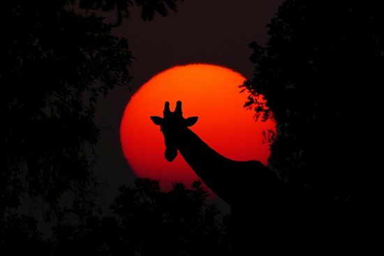 entdecken sie aufregende abenteuer und unvergessliche erlebnisse inmitten der natur. tauchen sie ein in spannende aktivitäten, die ihren adrenalinspiegel steigen lassen und neue horizonte eröffnen.