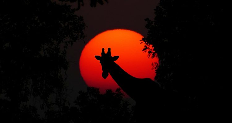 entdecken sie aufregende abenteuer und unvergessliche erlebnisse inmitten der natur. tauchen sie ein in spannende aktivitäten, die ihren adrenalinspiegel steigen lassen und neue horizonte eröffnen.