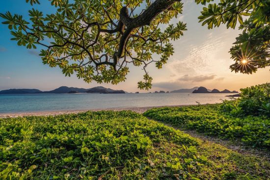 entdecken sie die schönheit der natur mit atemberaubenden landschaften, faszinierender tierwelt und inspirierenden ökosystemen. erleben sie die ruhe und harmonie, die die natur bietet.